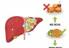 ¿Tu alimentación está reprogramando tu hígado?
