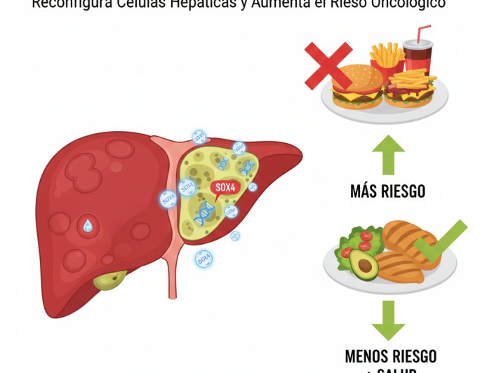 ¿Tu alimentación está reprogramando tu hígado?